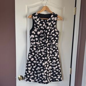 Ann Taylor Black and Cream Floral Mini Fit-n-flare Dress